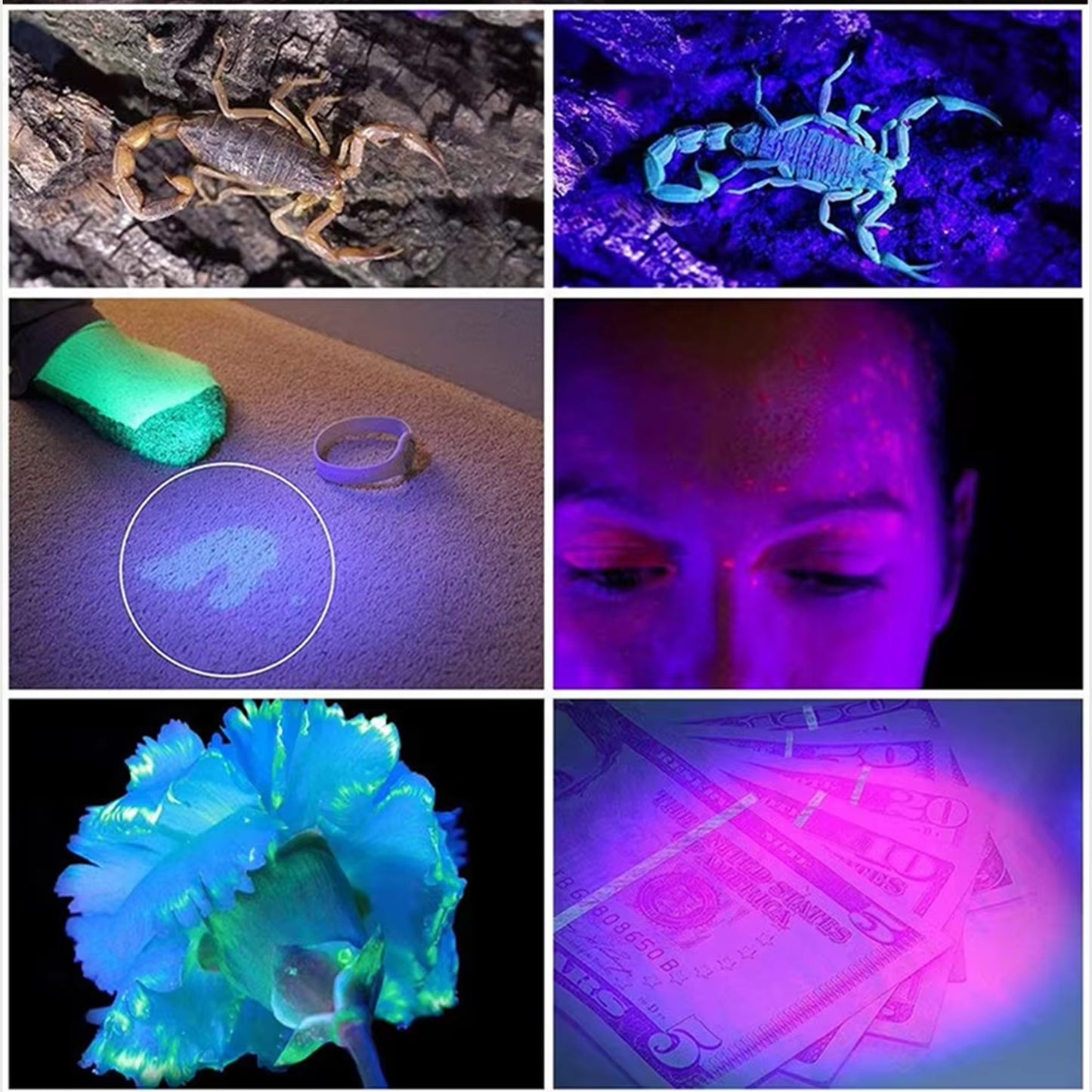 Kensun 365nm UV LED Flashlight Portable Ultraviolet Torch for Pet Urine Scorpion Stain Resin Detection