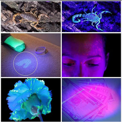 Kensun 365nm UV LED Flashlight Portable Ultraviolet Torch for Pet Urine Scorpion Stain Resin Detection