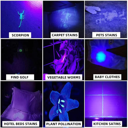 365nm High Power UV Flashlight, USB Rechargeable Ultraviolet Black Light Torch for Pet Stains, Scorpion Hunting, Jade Inspection & Outdoor Detection